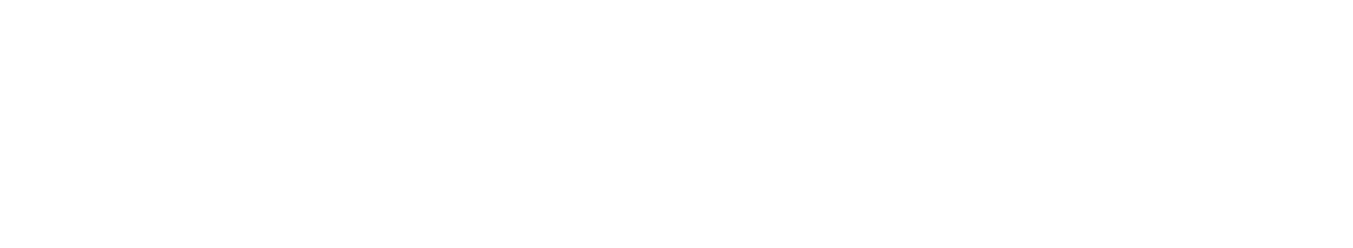 Evertise Logo